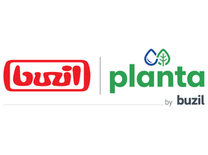 Buzil